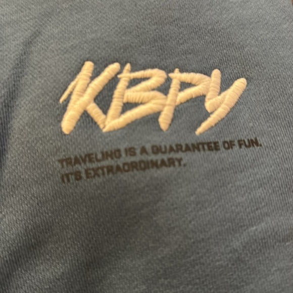 New Zara EMBROIDERED ZIP HOODIE SWEATSHIRT - Picture 4 of 4